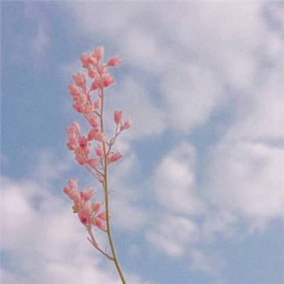 pg娱乐电子游戏官网官方入口